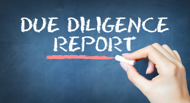 Vendor Assist - Due Diligence Report